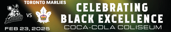 Celebrating Black Excellent - Scotia Bank Arena